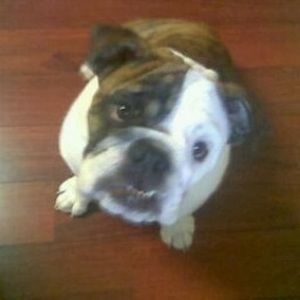 Meet your Posher, Bridget